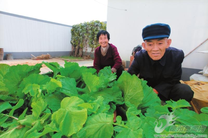 30余萬農(nóng)民實現(xiàn)家門口就業(yè)，農(nóng)民年人均純收入達10850元