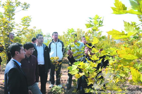 學(xué)員們來到苗圃基地，聽合作社理事長楊玉池（右一）講解剪枝方法。