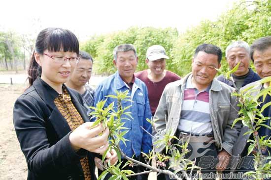 樂陵李妍：扎根基層幫民富